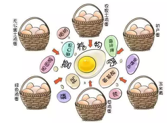遍尋菜譜收集的雞蛋7中新吃法，第2中最好，第7中最營養(yǎng)